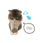 くらまのまいにち♡♡（個別スタンプ：6）