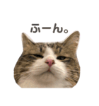 くらまのまいにち♡♡（個別スタンプ：10）