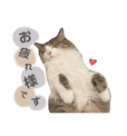 くらまのまいにち♡♡（個別スタンプ：11）