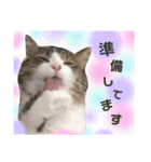 くらまのまいにち♡♡（個別スタンプ：12）