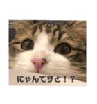 くらまのまいにち♡♡（個別スタンプ：14）