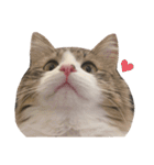 くらまのまいにち♡♡（個別スタンプ：19）