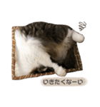 くらまのまいにち♡♡（個別スタンプ：20）