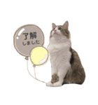 くらまのまいにち♡♡（個別スタンプ：21）
