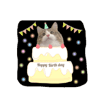 くらまのまいにち♡♡（個別スタンプ：31）
