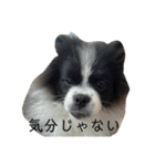 おれ、オレオ。（個別スタンプ：2）