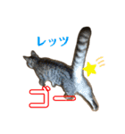 ちゃちゃライフ（個別スタンプ：18）