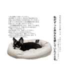 凛音君（個別スタンプ：5）