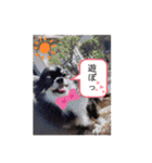 凛音君（個別スタンプ：15）