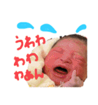 れもんこもん01（個別スタンプ：14）