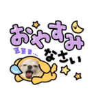 ポメチワです（個別スタンプ：6）