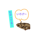 ジャンガリアンハムスターのはなちゃん②（個別スタンプ：6）