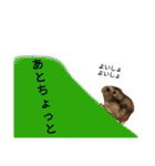 ジャンガリアンハムスターのはなちゃん②（個別スタンプ：7）