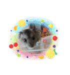 ジャンガリアンハムスターのはなちゃん②（個別スタンプ：10）