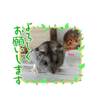 ジャンガリアンハムスターのはなちゃん②（個別スタンプ：15）