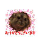 ジャンガリアンハムスターのはなちゃん②（個別スタンプ：16）
