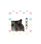 ジャンガリアンハムスターのはなちゃん②（個別スタンプ：25）