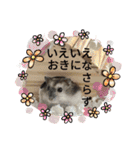 ジャンガリアンハムスターのはなちゃん②（個別スタンプ：28）