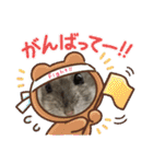 ジャンガリアンハムスターのはなちゃん②（個別スタンプ：29）