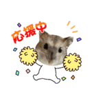 ジャンガリアンハムスターのはなちゃん②（個別スタンプ：31）