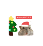 ジャンガリアンハムスターのはなちゃん②（個別スタンプ：39）