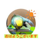 トコちゃんとウサギのハイミー（個別スタンプ：2）