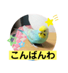 トコちゃんとウサギのハイミー（個別スタンプ：4）