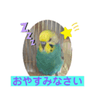 トコちゃんとウサギのハイミー（個別スタンプ：5）