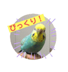 トコちゃんとウサギのハイミー（個別スタンプ：6）