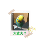 トコちゃんとウサギのハイミー（個別スタンプ：7）