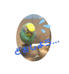 トコちゃんとウサギのハイミー（個別スタンプ：8）