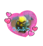 トコちゃんとウサギのハイミー（個別スタンプ：11）