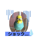 トコちゃんとウサギのハイミー（個別スタンプ：15）