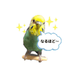 トコちゃんとウサギのハイミー（個別スタンプ：16）