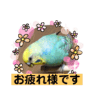 トコちゃんとウサギのハイミー（個別スタンプ：17）