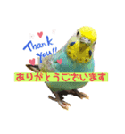 トコちゃんとウサギのハイミー（個別スタンプ：18）