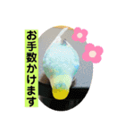 トコちゃんとウサギのハイミー（個別スタンプ：19）