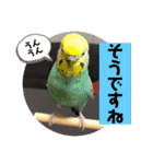 トコちゃんとウサギのハイミー（個別スタンプ：20）