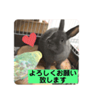 トコちゃんとウサギのハイミー（個別スタンプ：22）