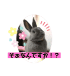トコちゃんとウサギのハイミー（個別スタンプ：23）