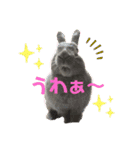 トコちゃんとウサギのハイミー（個別スタンプ：24）