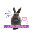 トコちゃんとウサギのハイミー（個別スタンプ：27）