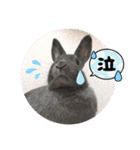 トコちゃんとウサギのハイミー（個別スタンプ：29）