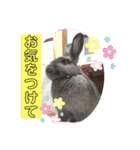トコちゃんとウサギのハイミー（個別スタンプ：30）
