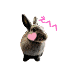 トコちゃんとウサギのハイミー（個別スタンプ：32）