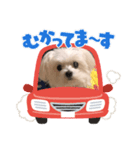 ぷりんのつぶやき（個別スタンプ：4）