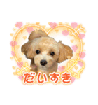 モコ蔵（個別スタンプ：1）