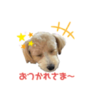 モコ蔵（個別スタンプ：12）