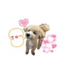 モコ蔵（個別スタンプ：15）