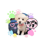 へいすけと小熊（個別スタンプ：5）
